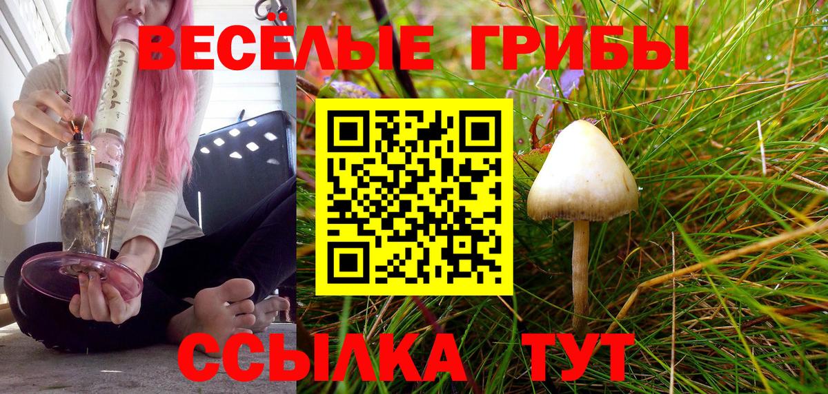цена   Псилоцибиновые грибы MAGIC MUSHROOMS  Вход с VPN  Галлюциногенные грибы Psilocybine cubensis  Таганрог 